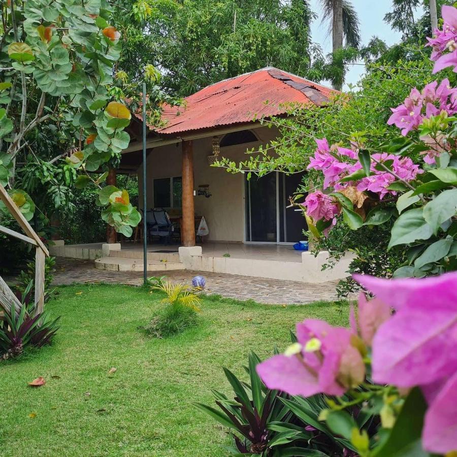 Villa Sonrisa Casa De Huespedes Las Terrenas Buitenkant foto