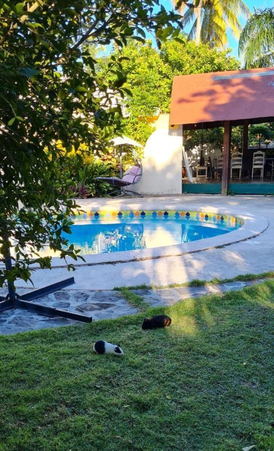 Villa Sonrisa Casa De Huespedes Las Terrenas Buitenkant foto